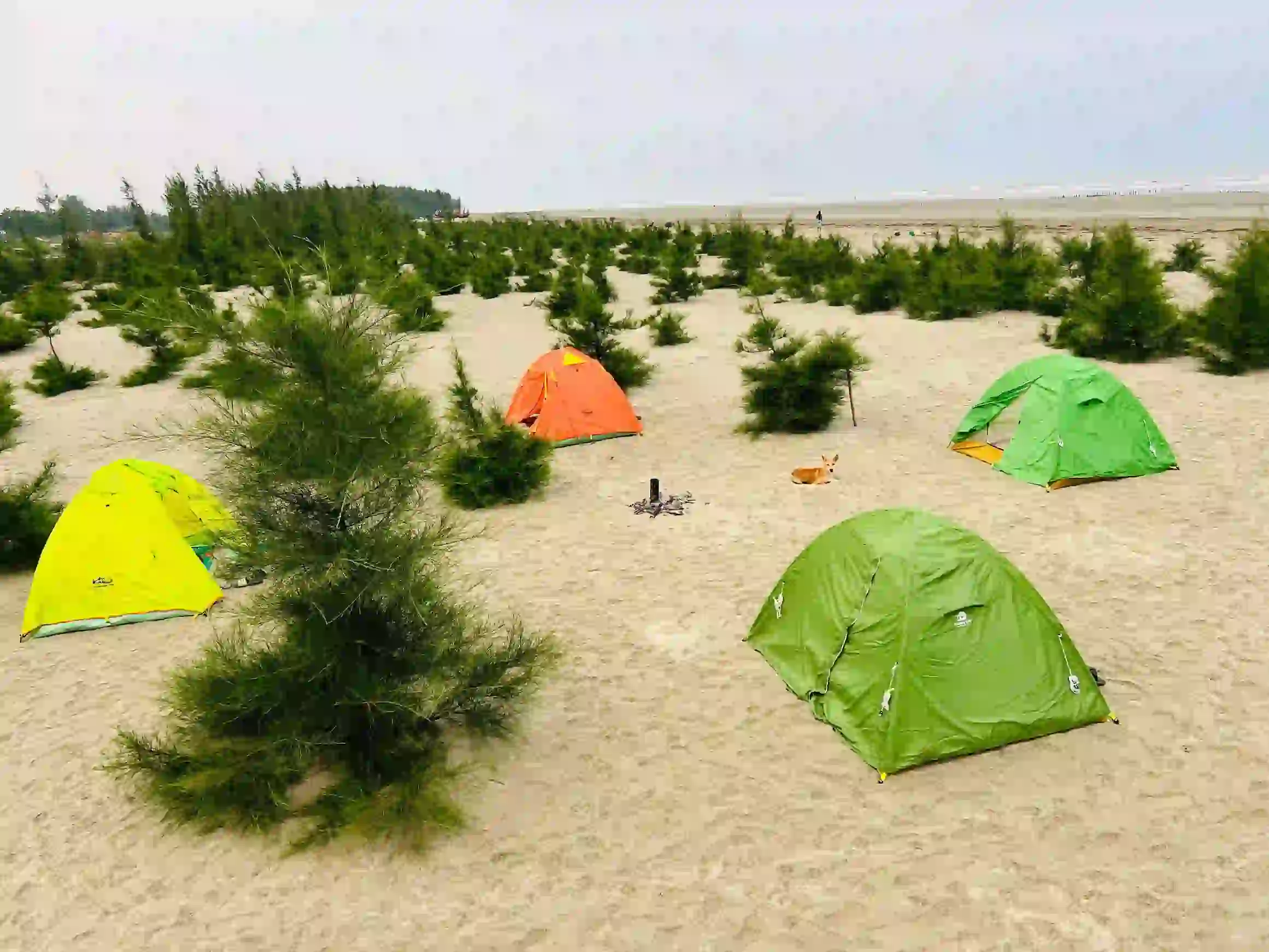 Beach Side Camp